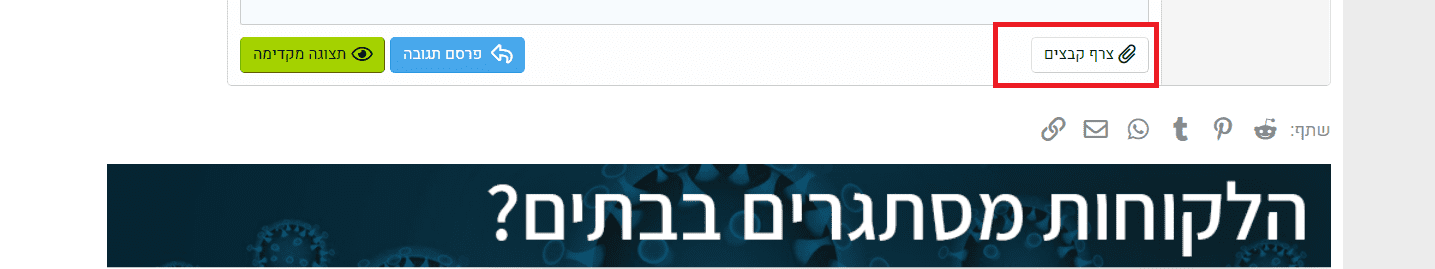צרף.png