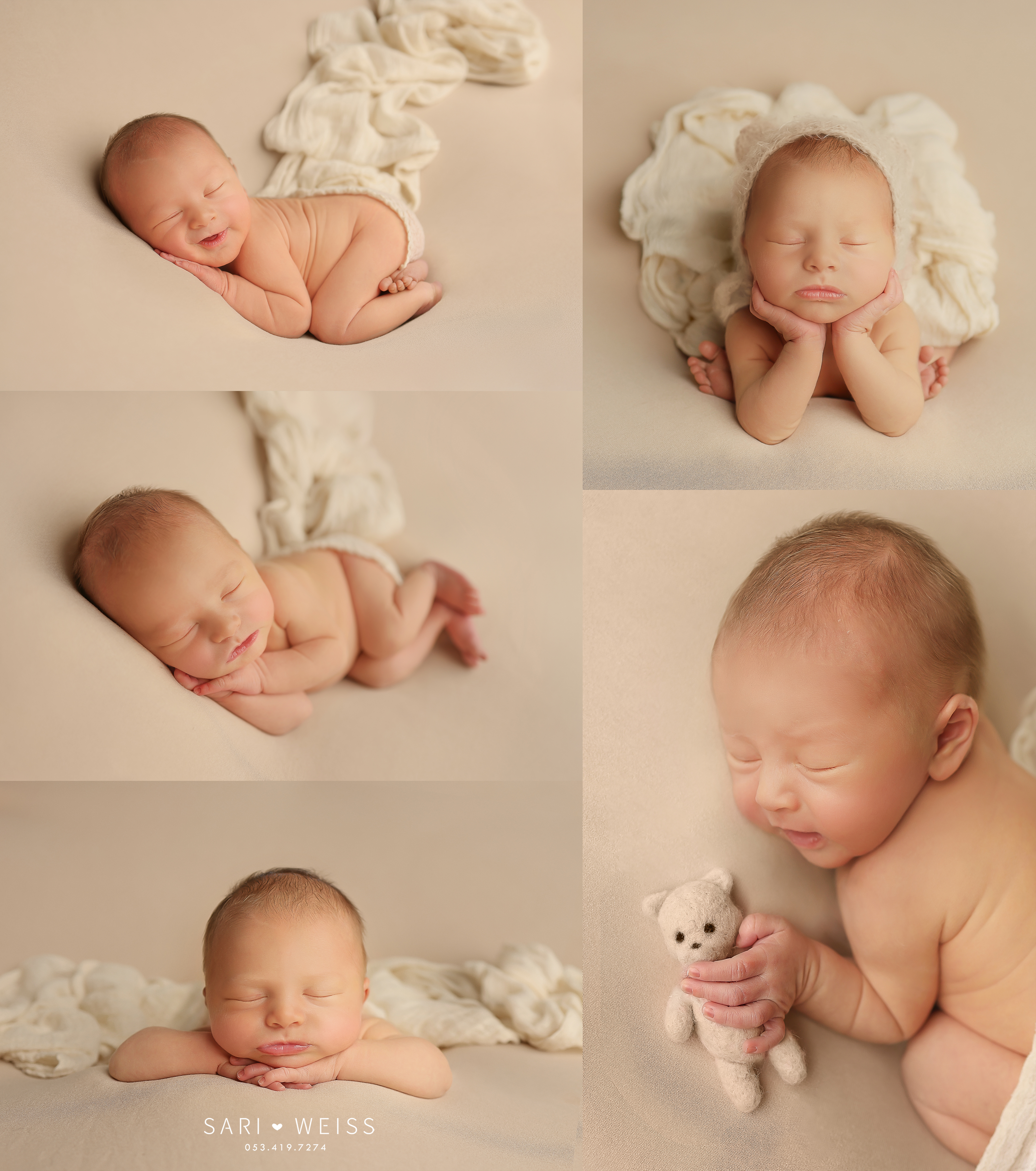 קולאז' בז'.jpg