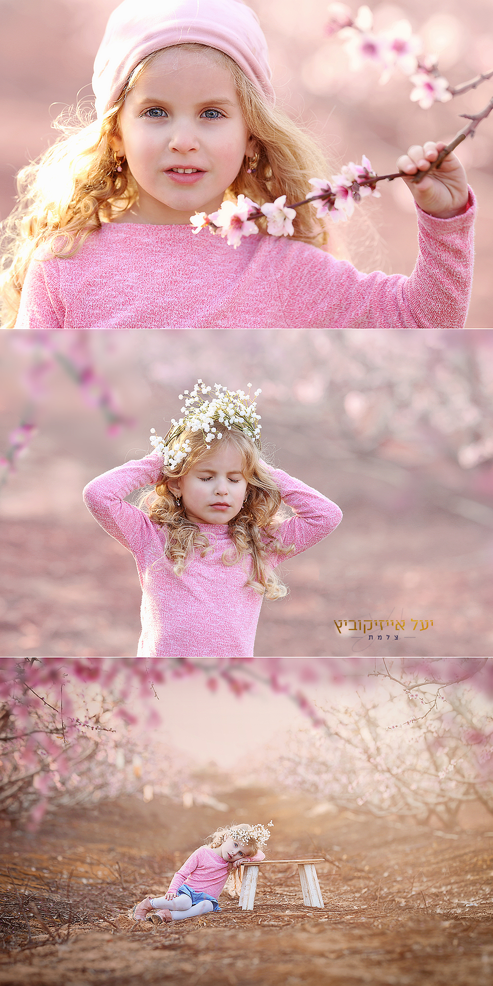 קולאז גילי.jpg