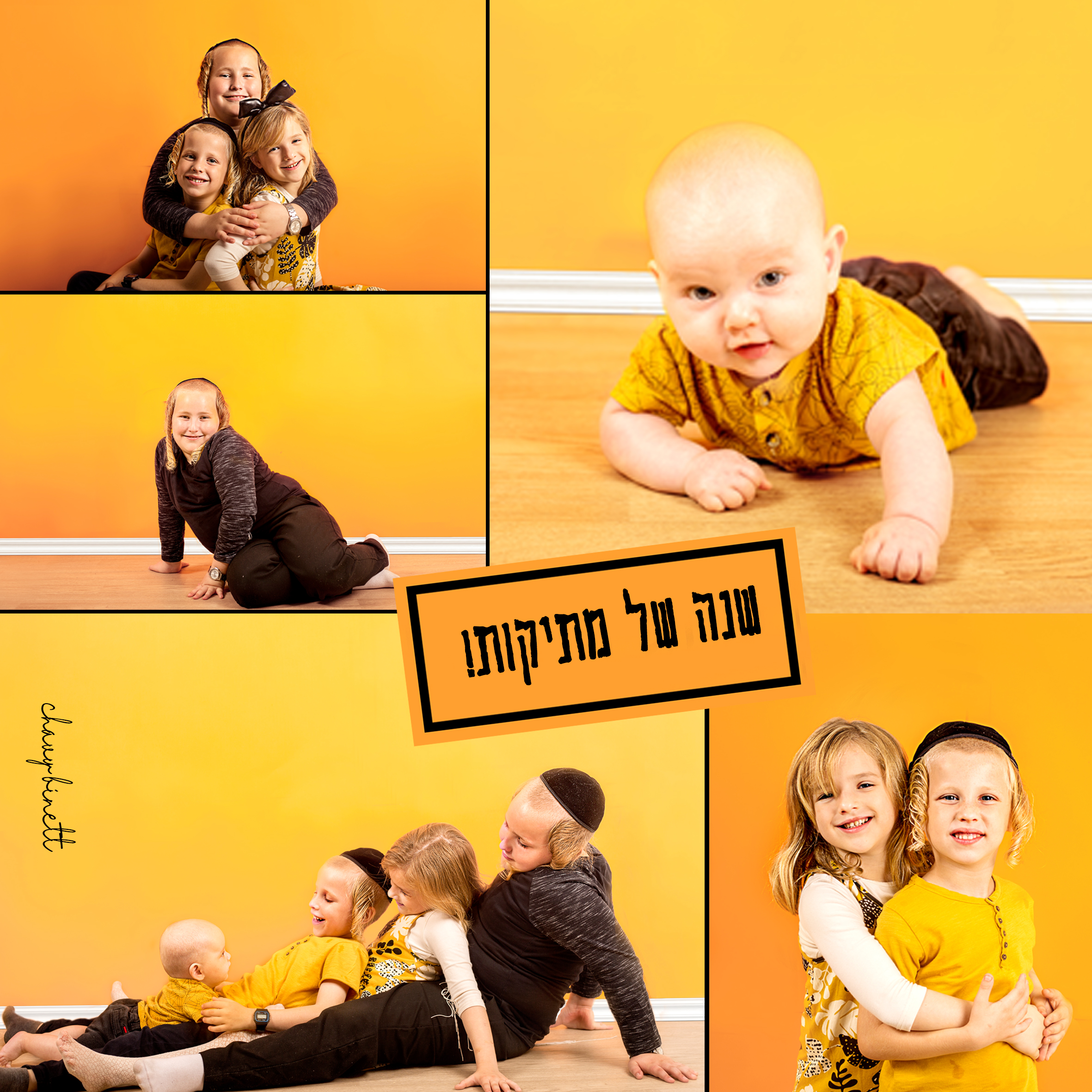 קולאז +לוגו.jpg