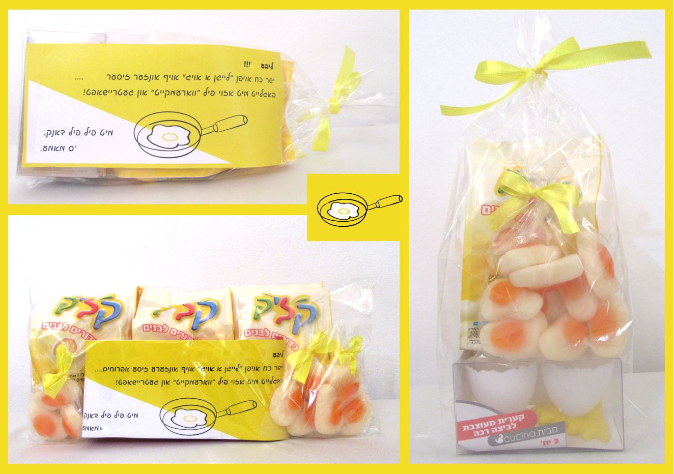 קולאז לפרוג.JPG