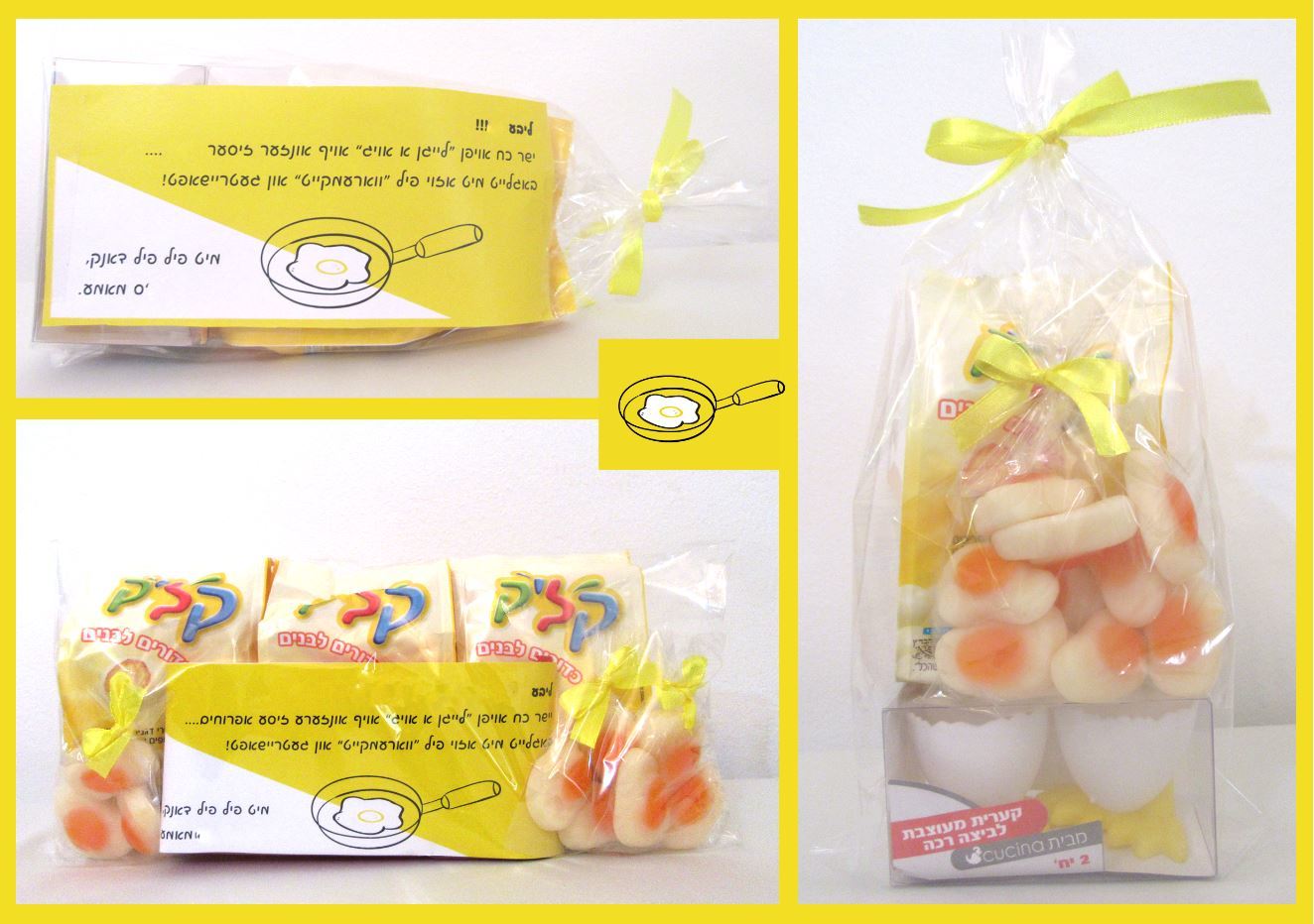 קולאז לפרוג.JPG