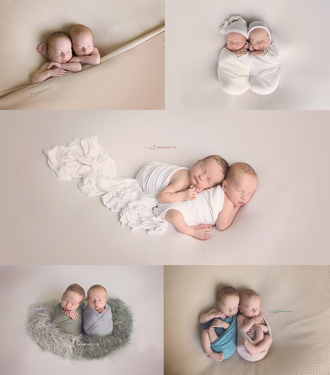 קולאז מוקטן.jpg