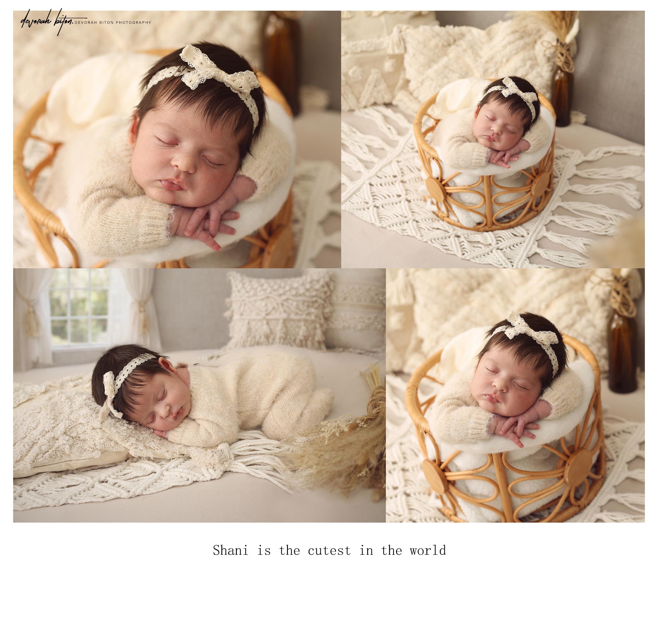 קולאז נמוך 2.jpg