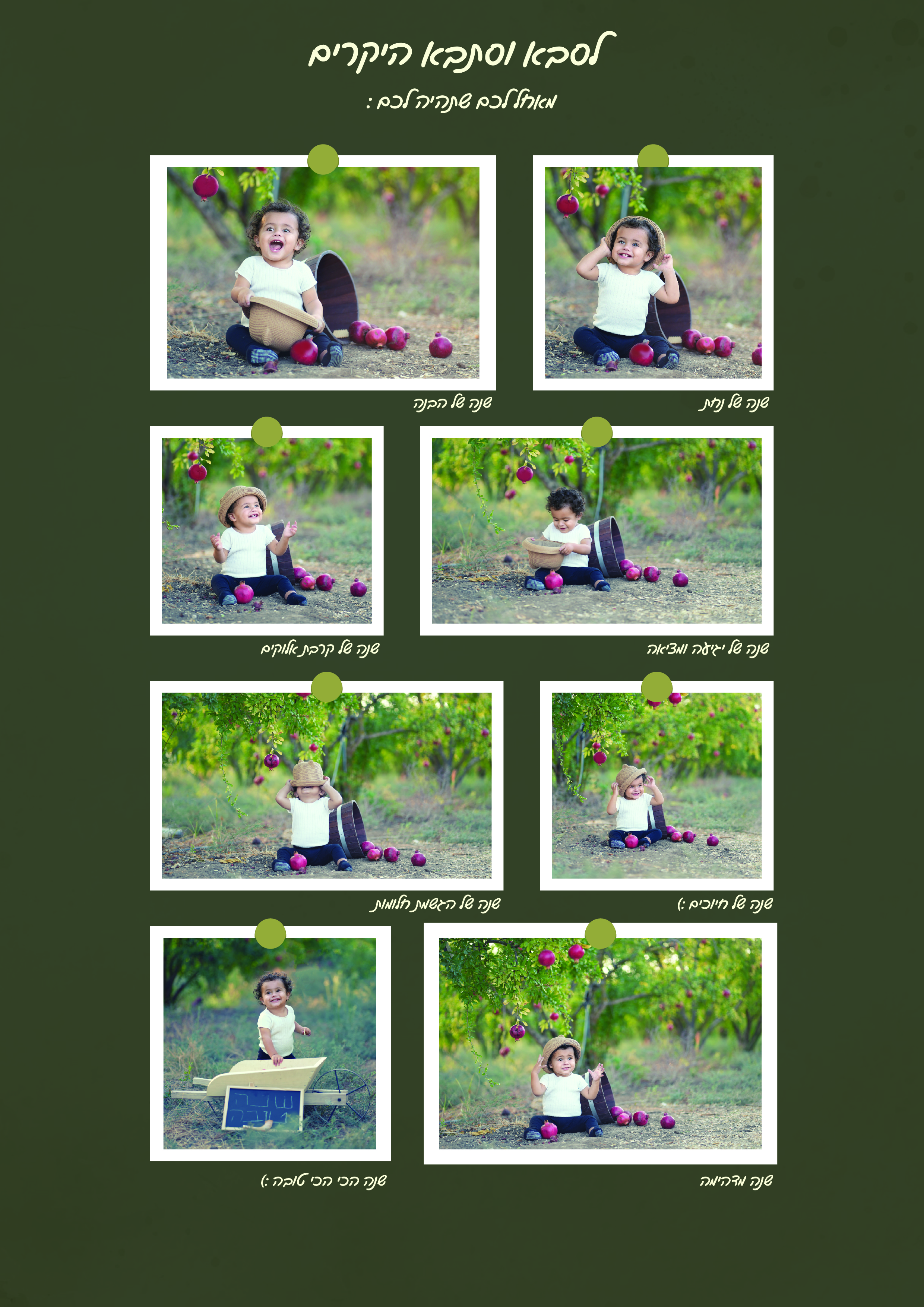 קולאז שנה טובה מאיר-01.jpg