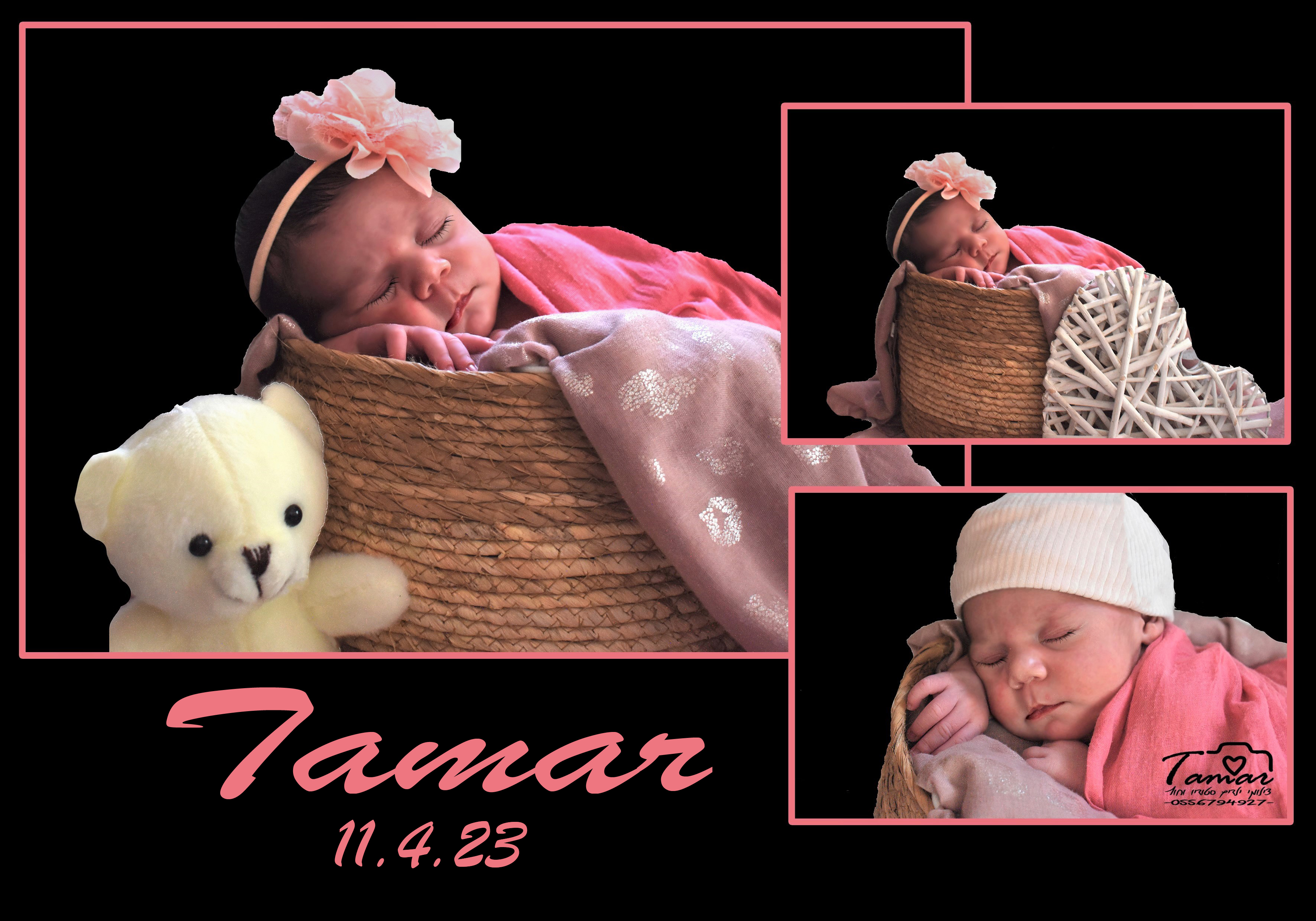 קולאז תמר סולימאני העתק.jpg