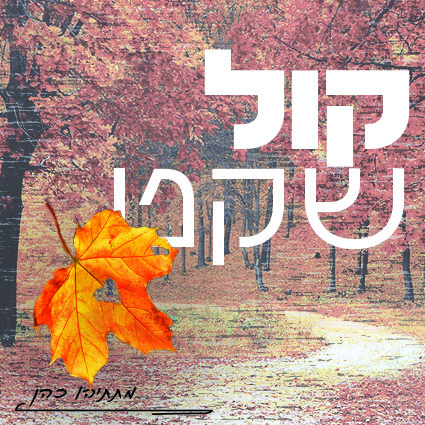 קול שקט.jpg