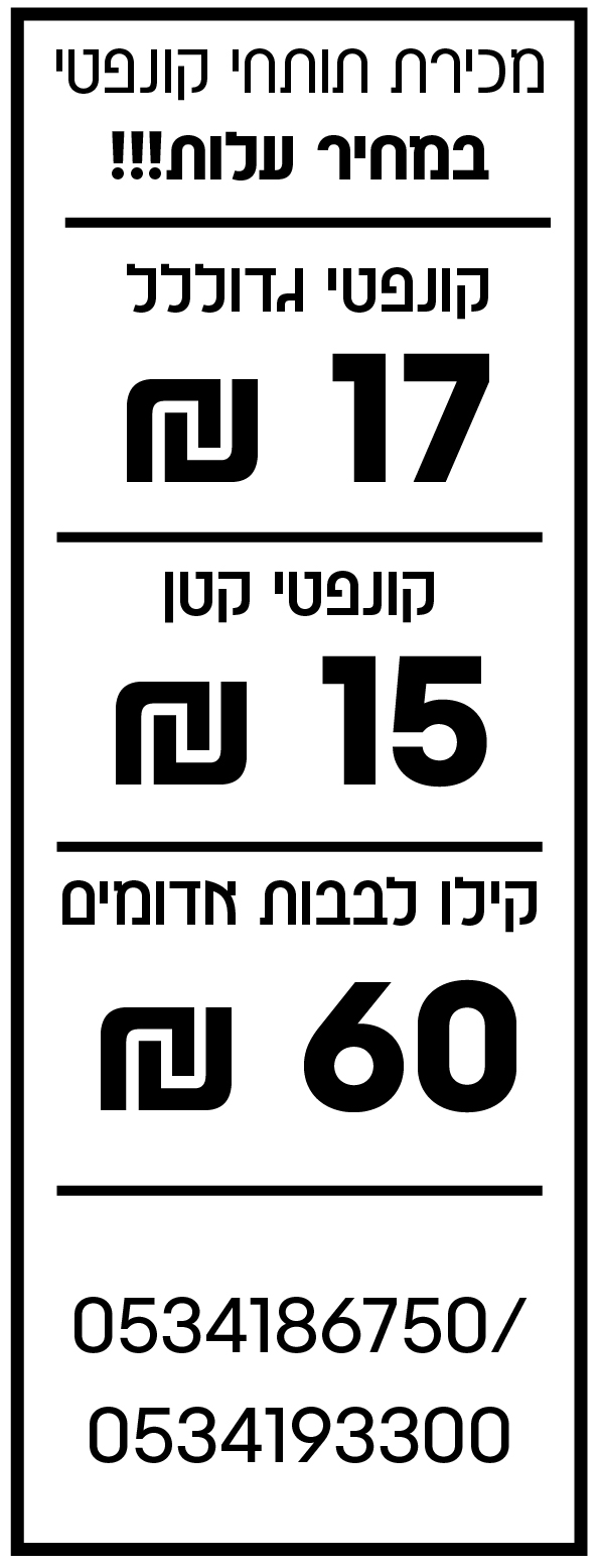 קונפטי -100.jpg