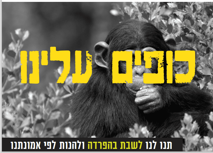 קוף 3.PNG