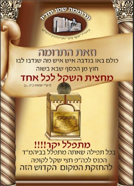 קופה באמצע.jpg