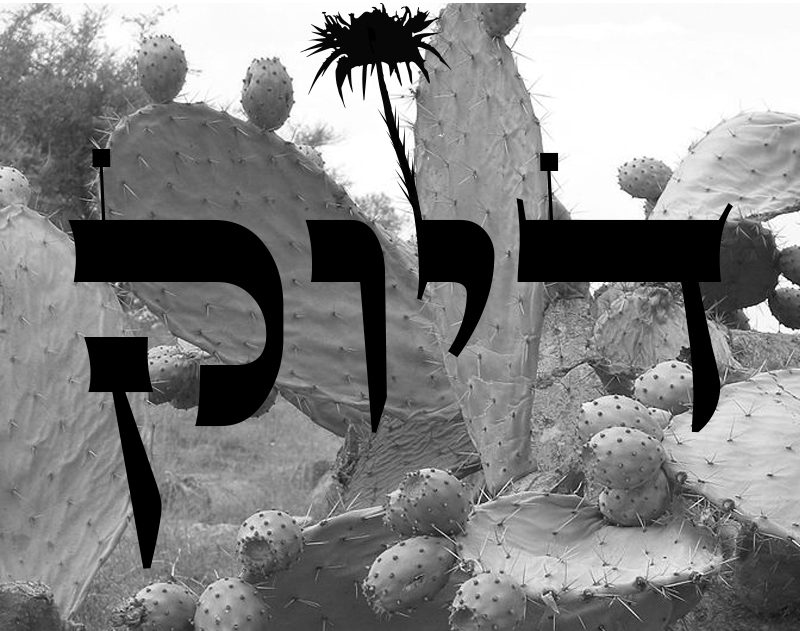 קוצו של יוד.jpg