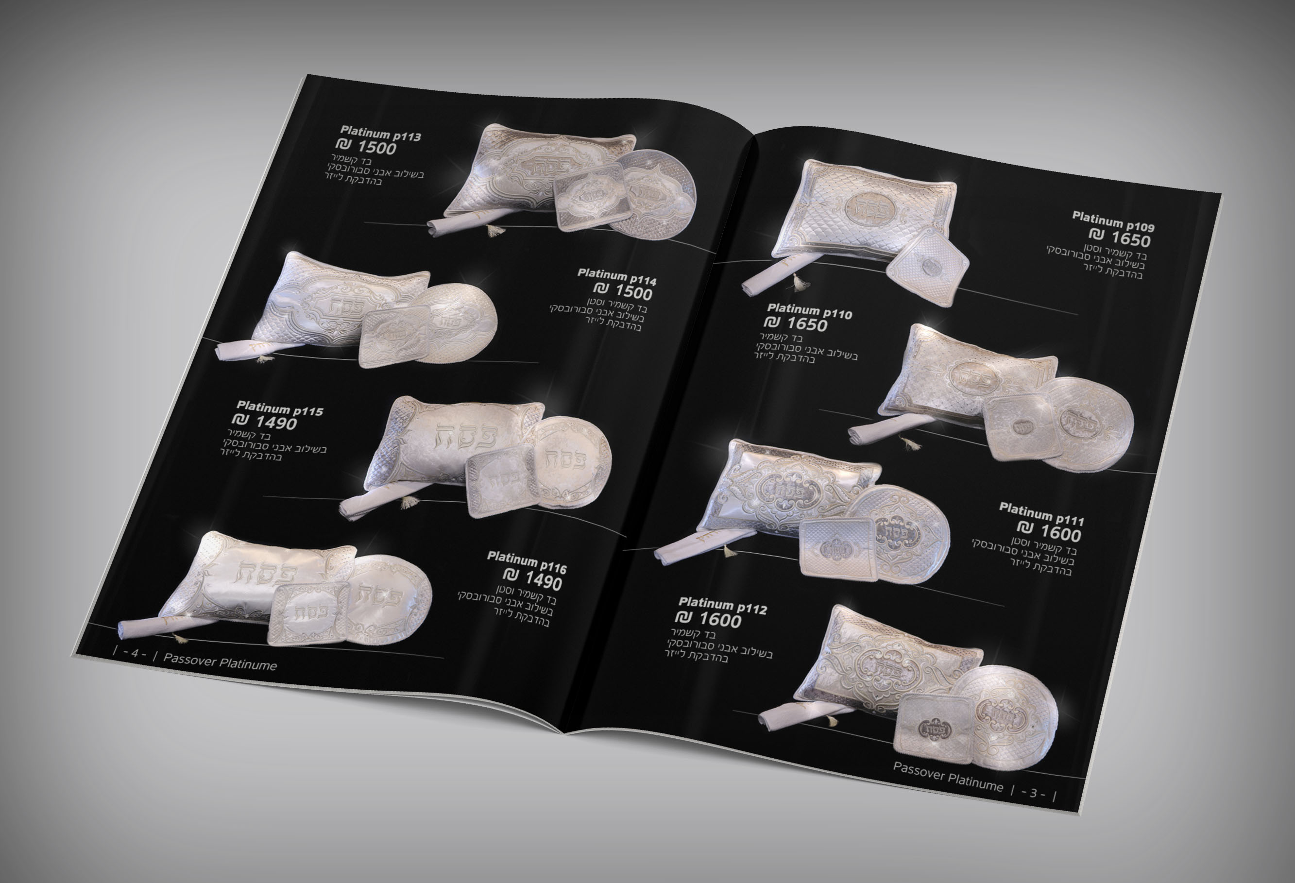 קטלוג 3.jpg