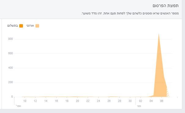 קידום אורגני.JPG