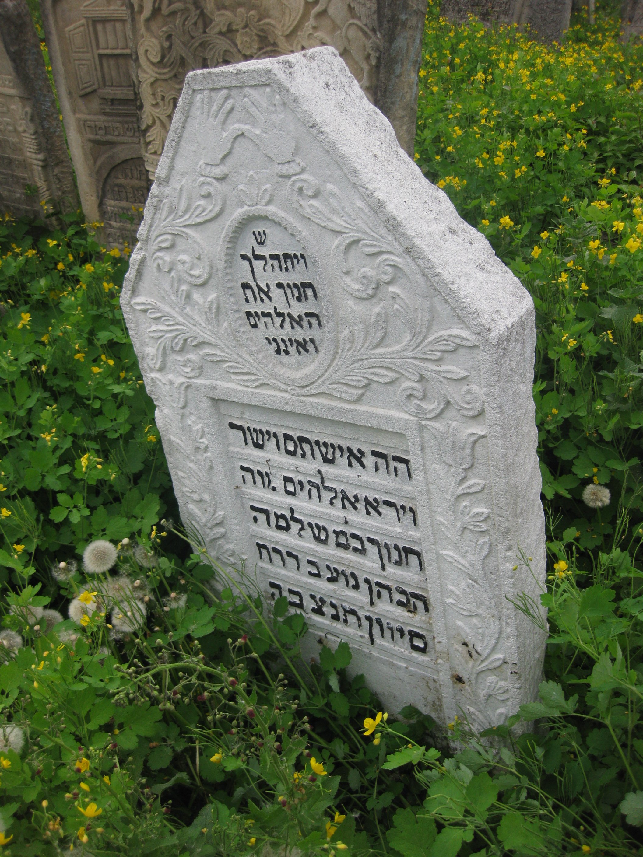 קיטוב ר''ח הכהן 2.JPG