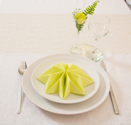 קיפול מפית.jpg