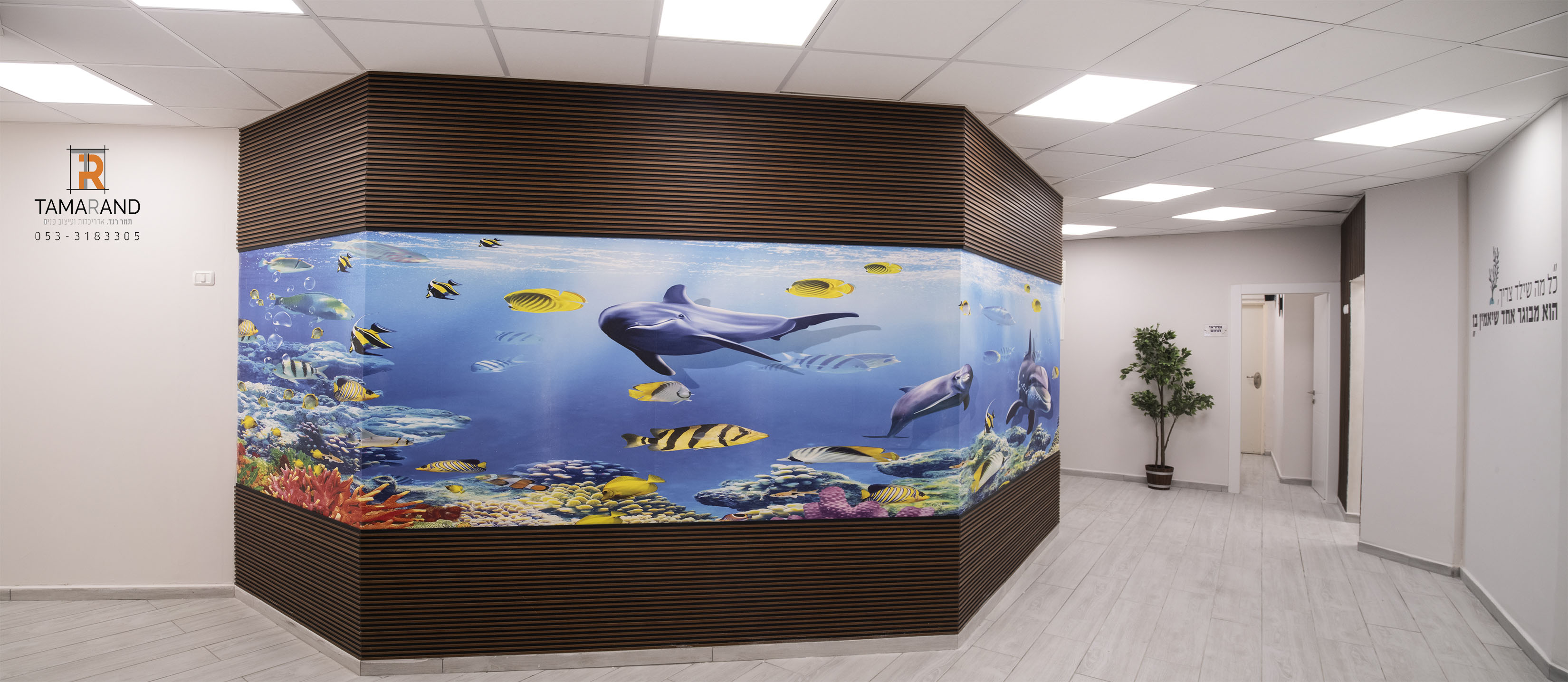 קיר אקווריום ת.jpg