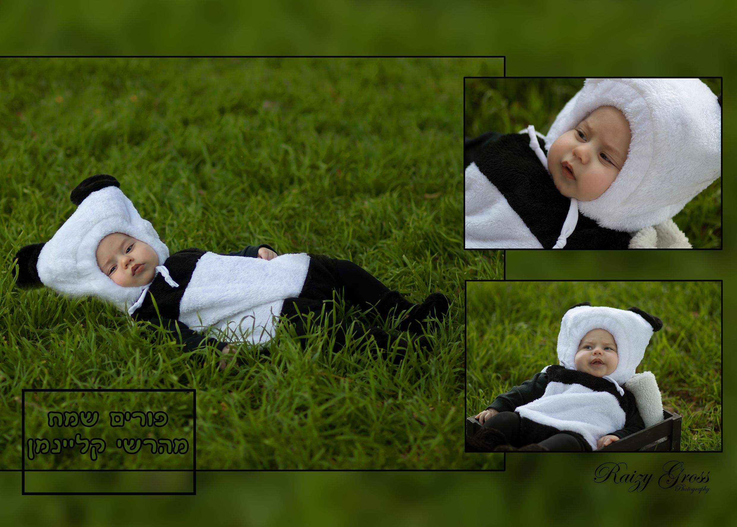 קליינמן מוכן.jpg