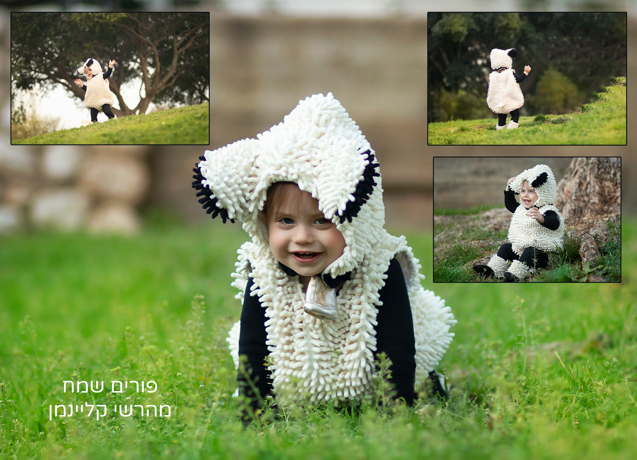 קליינמן copy.jpg