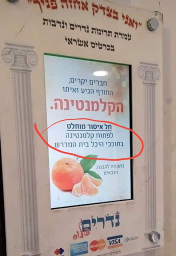 קלמנטינה.png