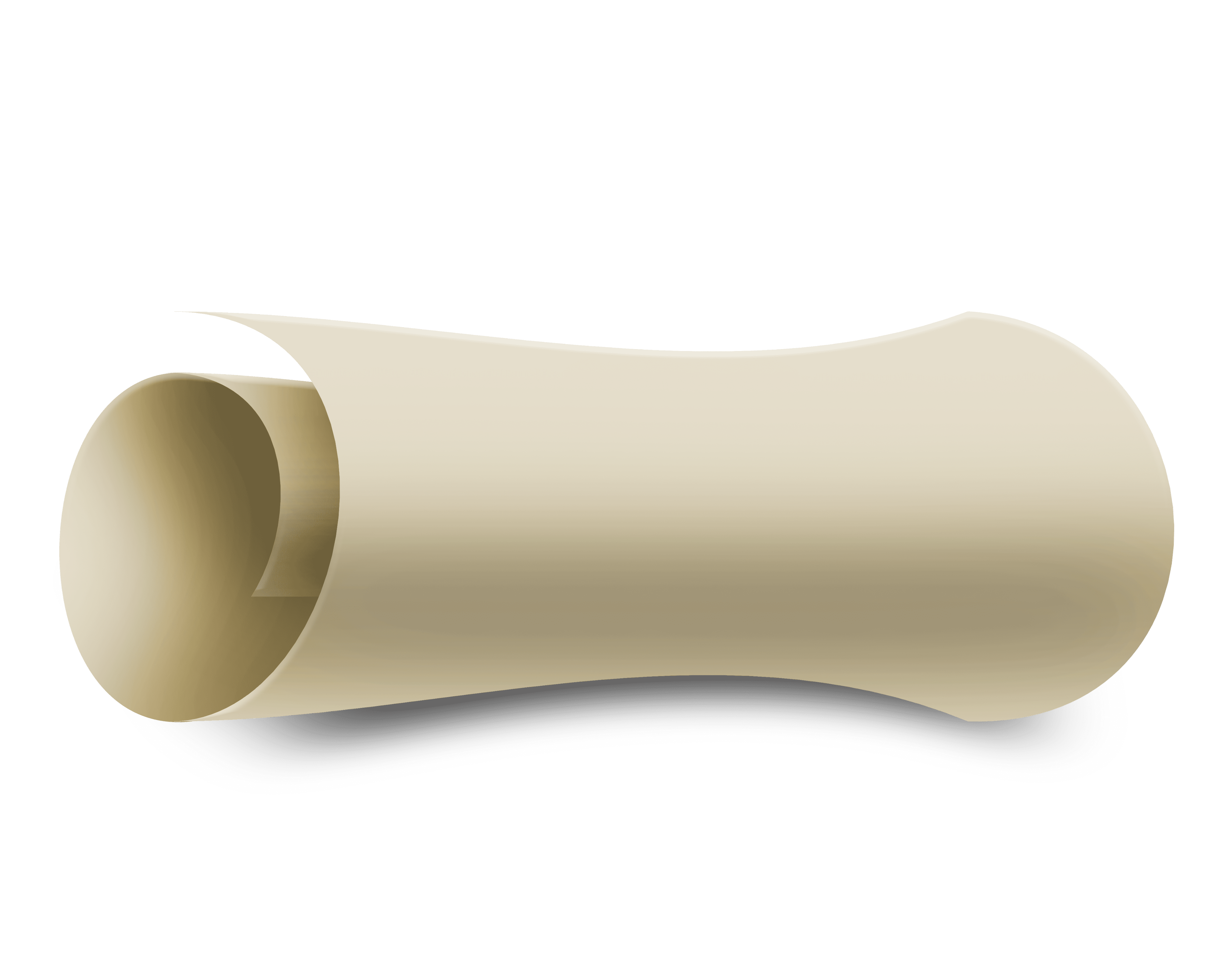 קלף מקופל.png