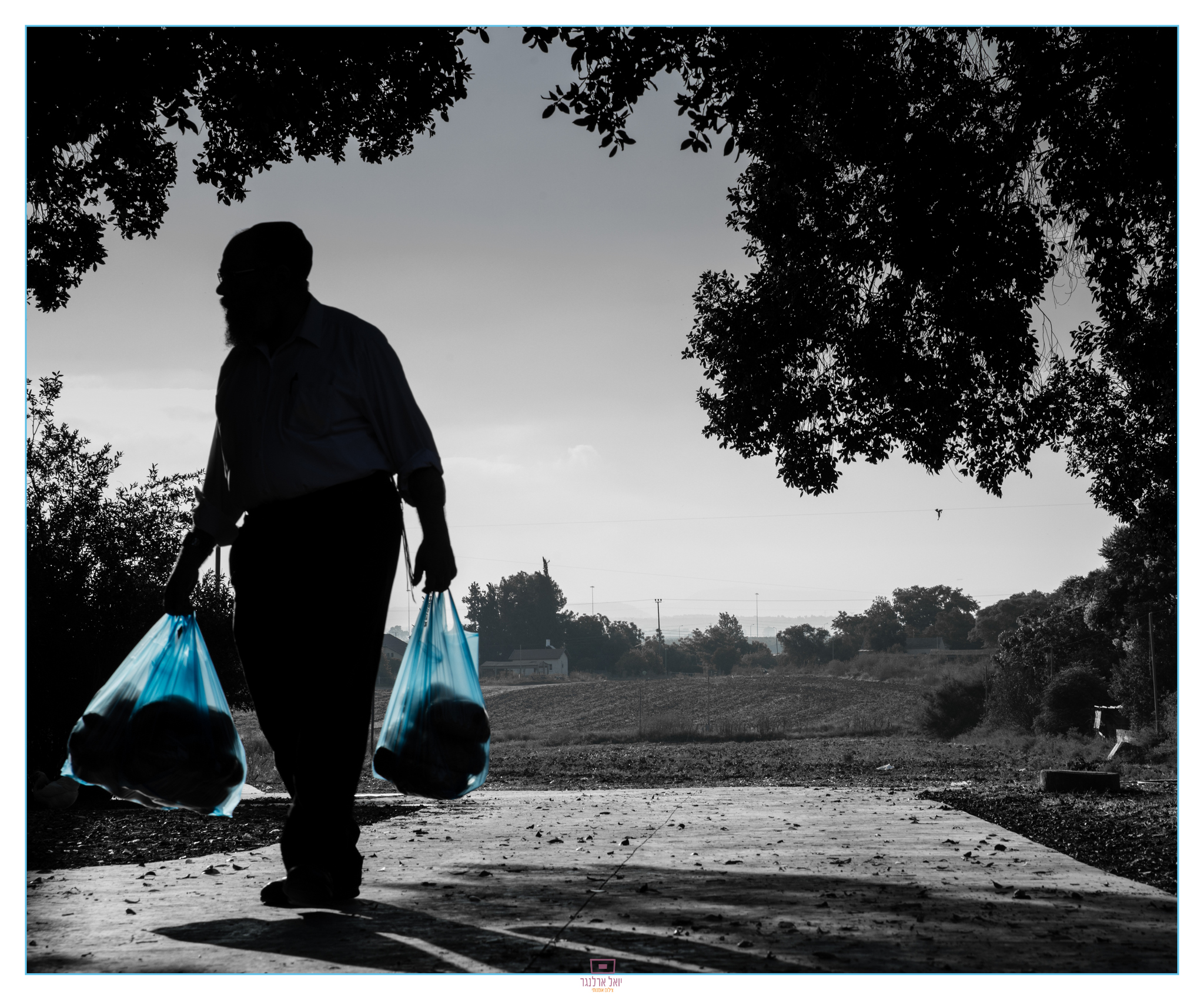 קניות לשבת.JPG