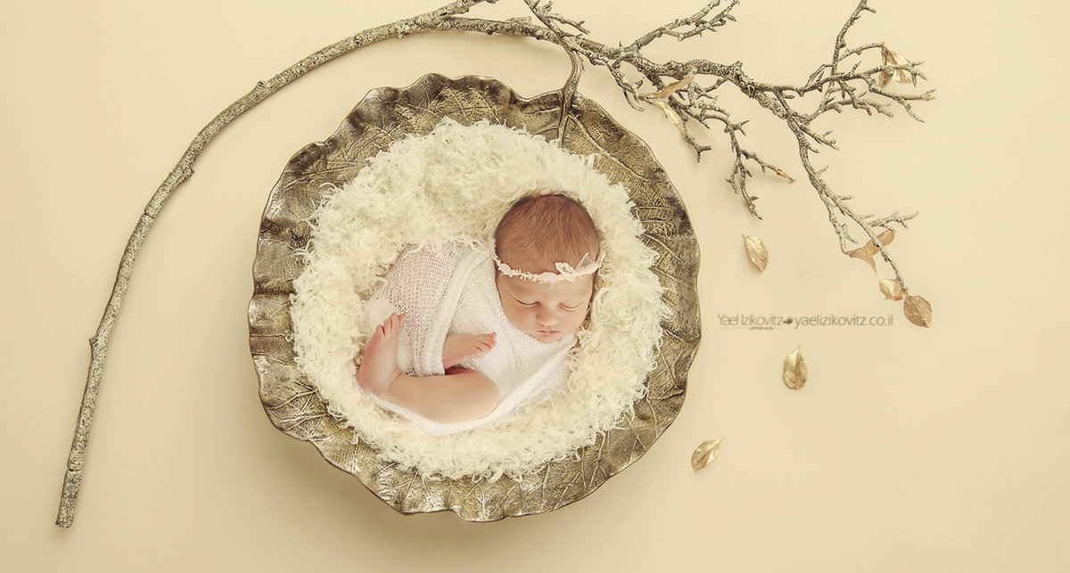 קערה מוקטן.jpg