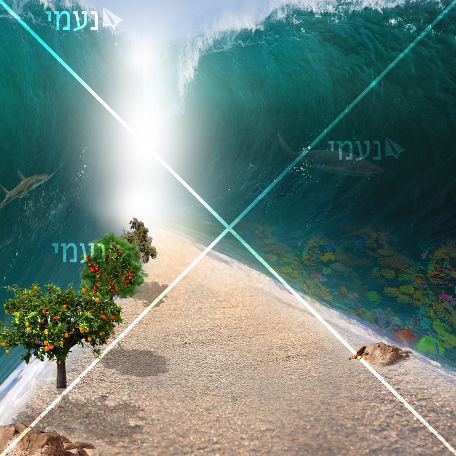 קרדיט משה.jpg