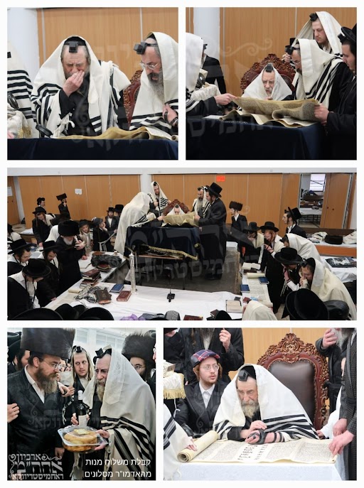 קריאת המגילה ביום.jpg