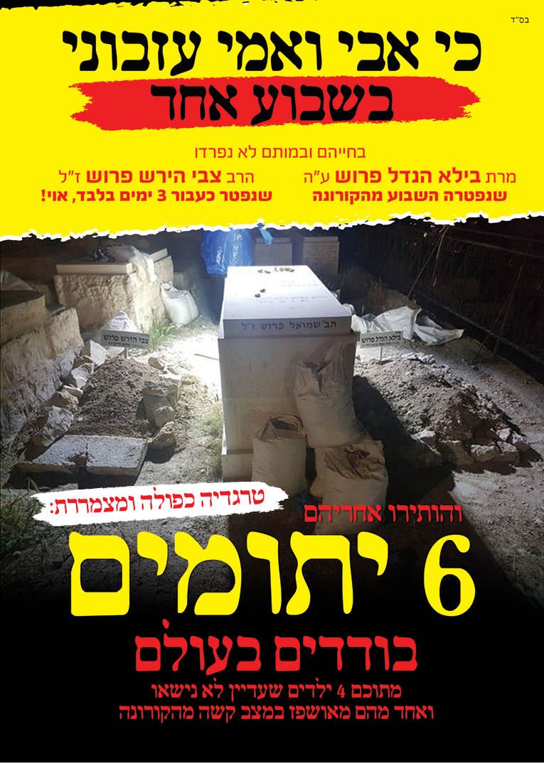 קרן יתומי פרוש  1.jpg