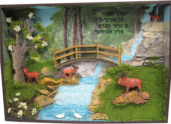 קשוט כאיל תערוג.png