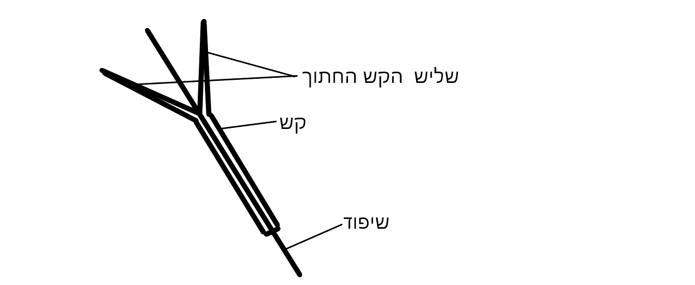 קש.png
