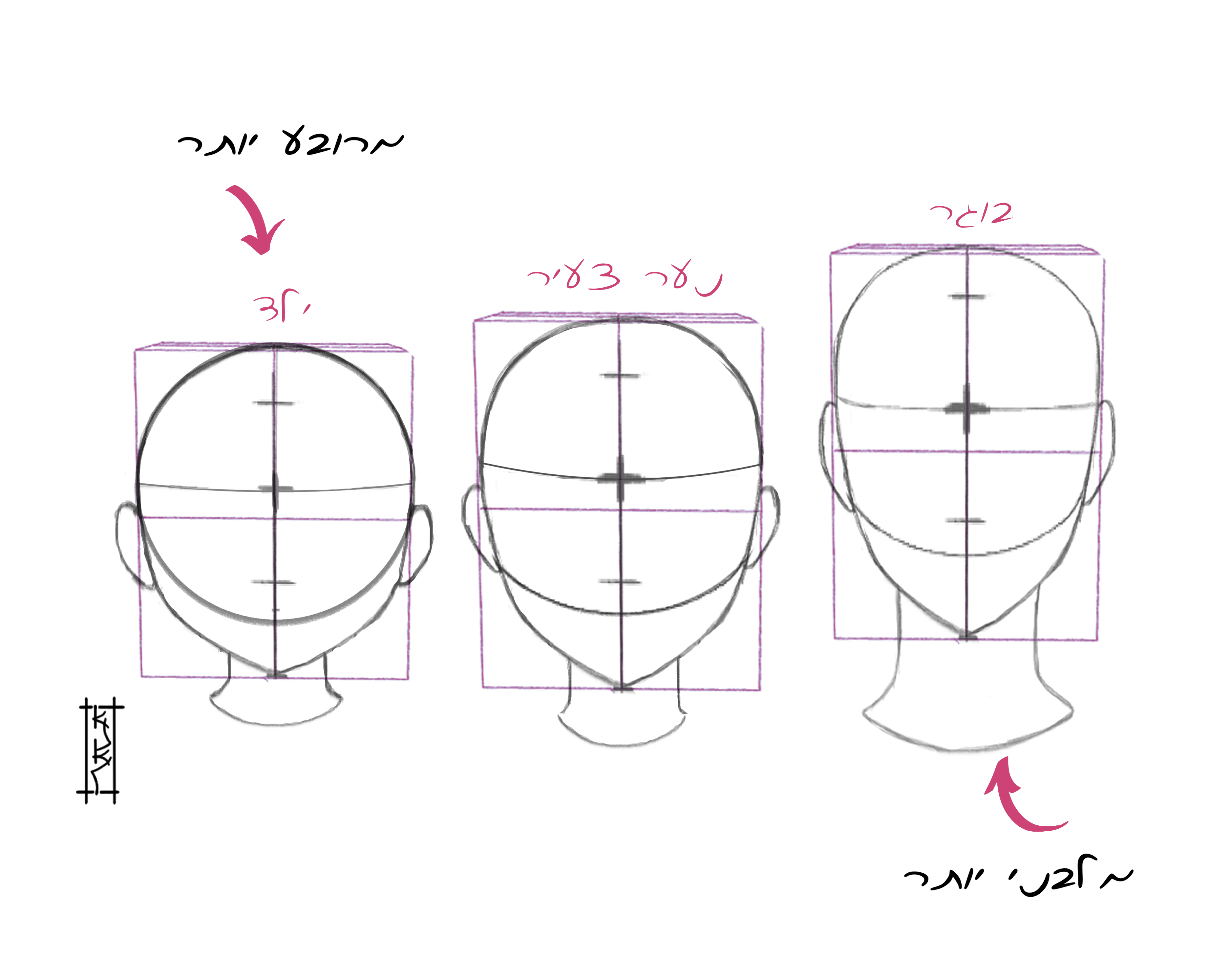 ראשים לפי גיל.jpg