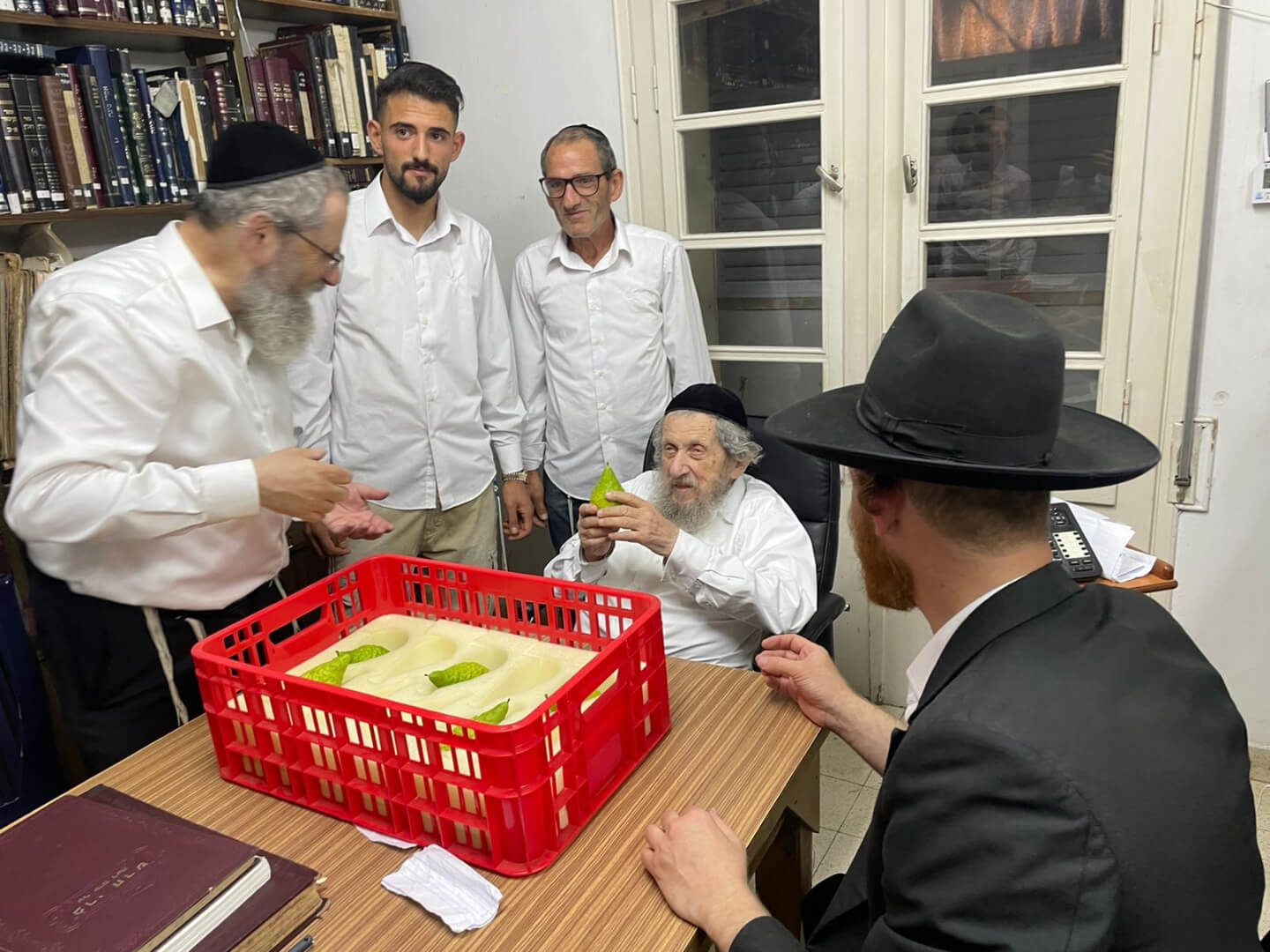 רבינו הגדול בבדיקת אתרוגים (1).jpg