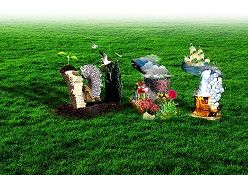 רגש תלת  23.jpg