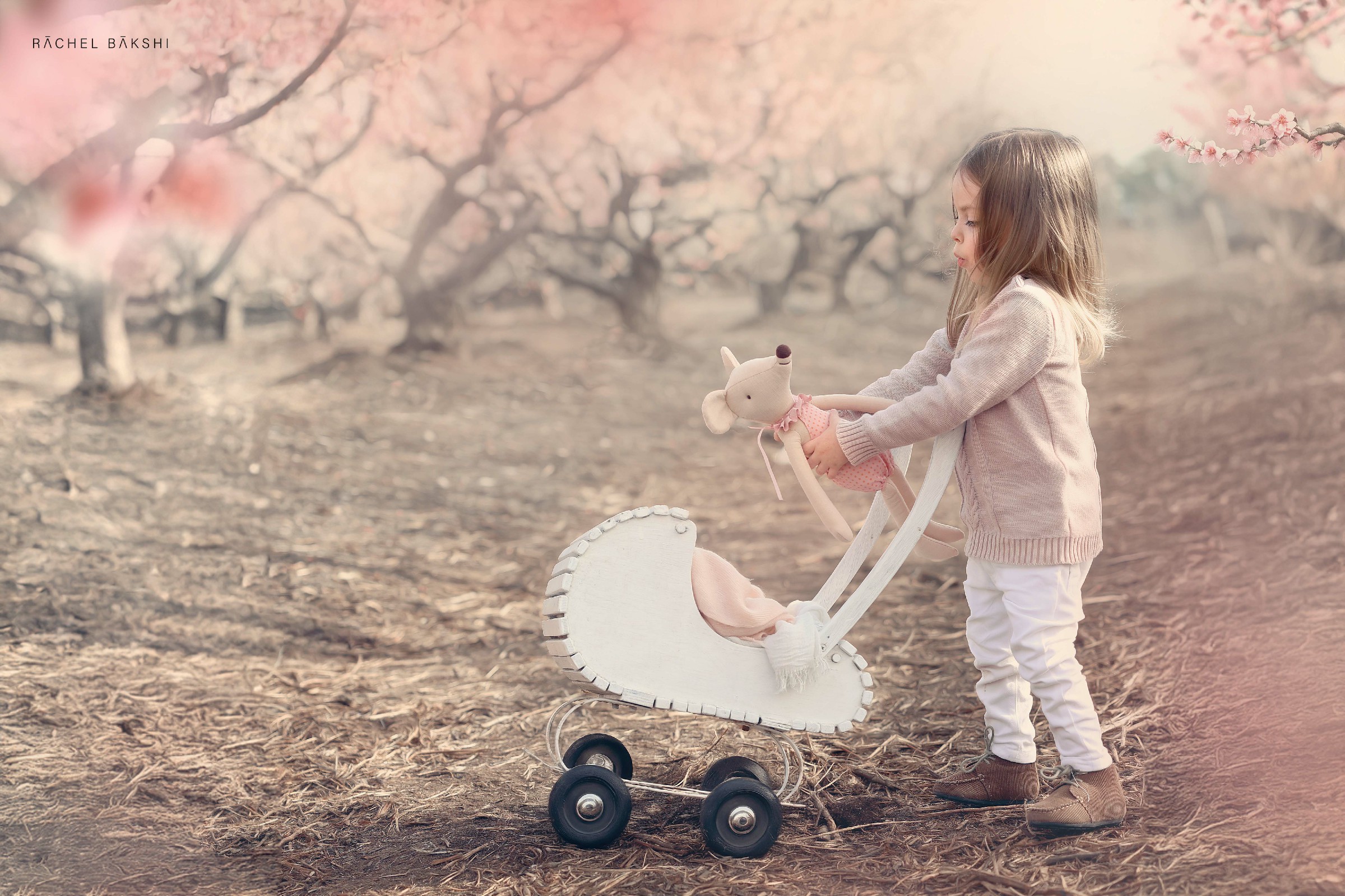 רוזנבליט מוקטן-0527114088 (8)~1.jpg