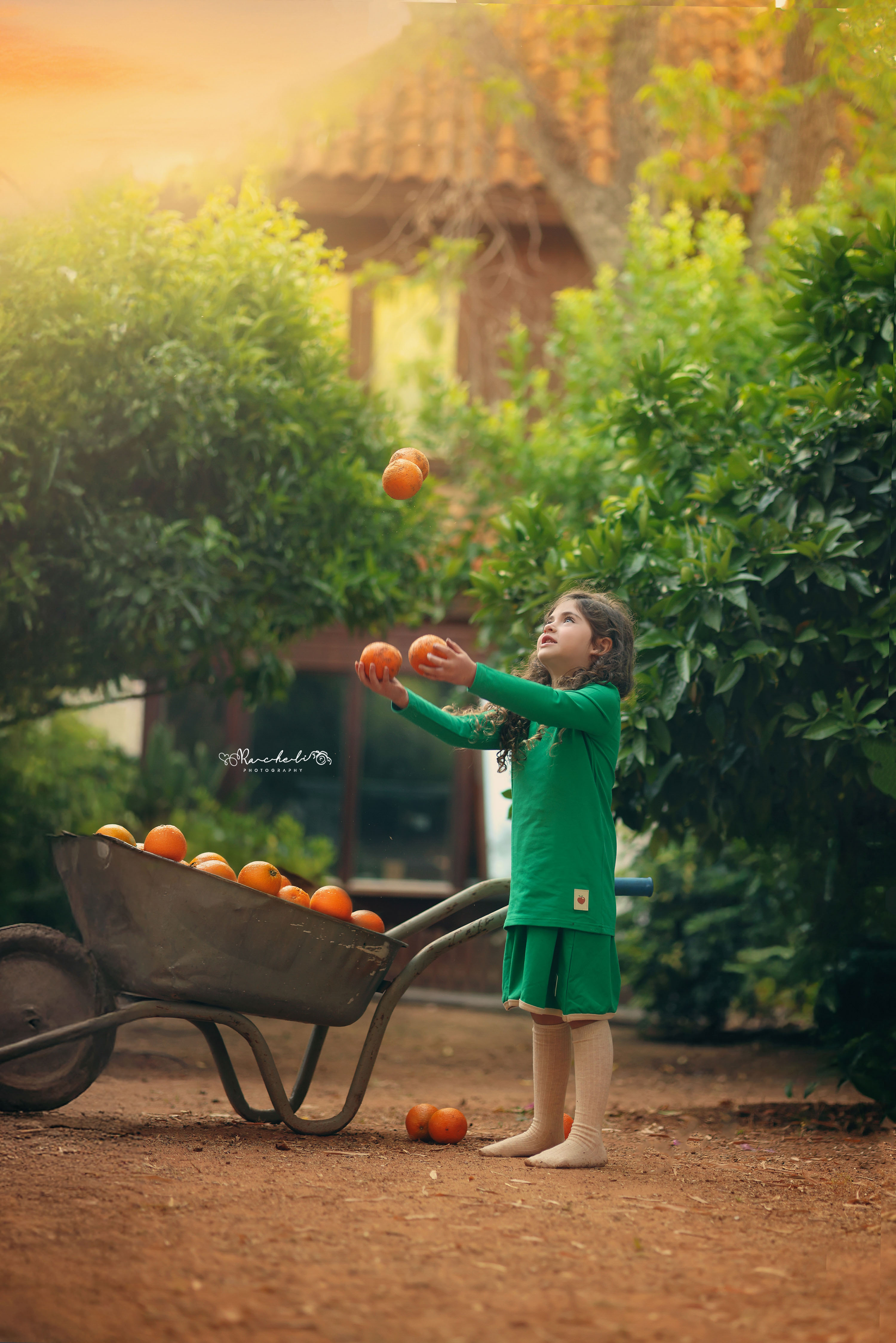 רחלי 0548442030 (1).jpg