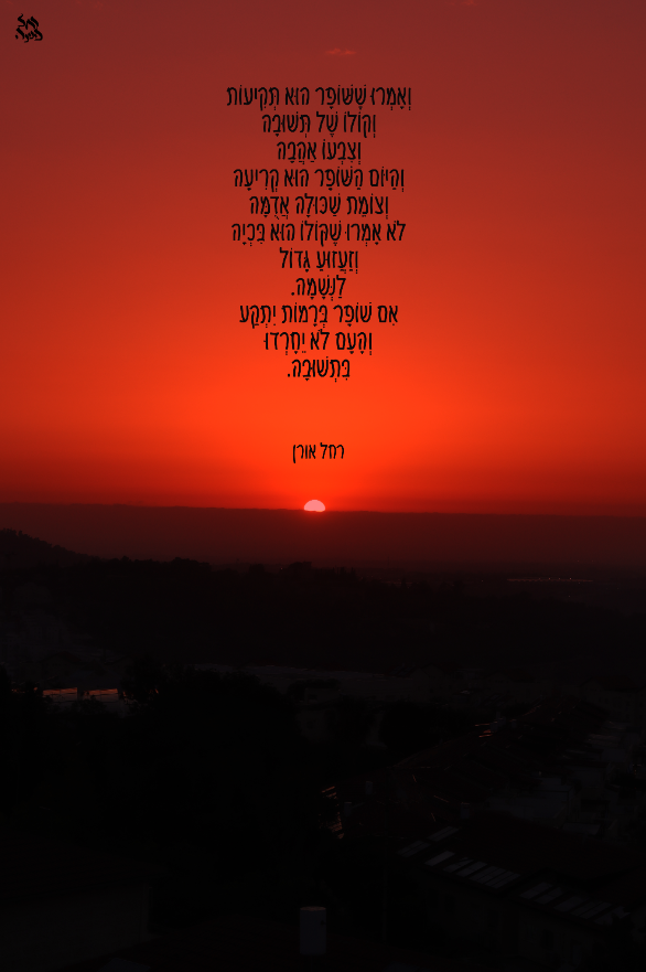 רחל אורן. שופר ברמות.png