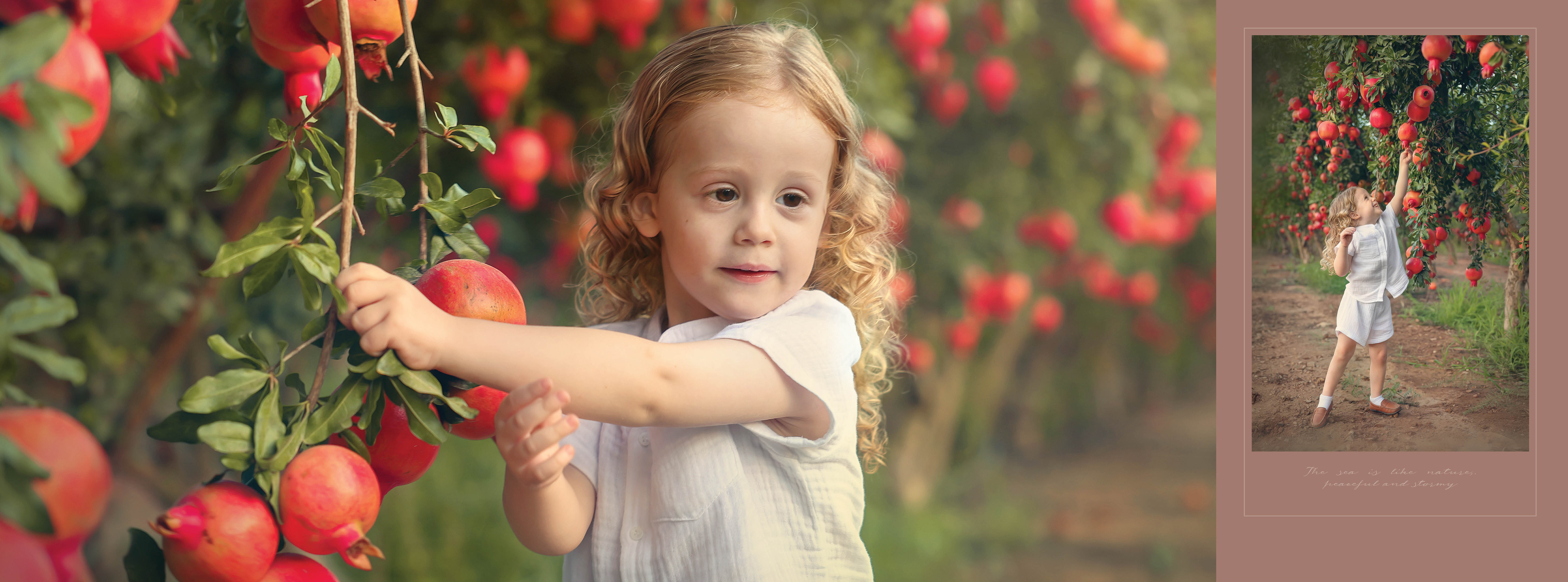 רחל בקשי 0527114088 מוקטן (9).jpg