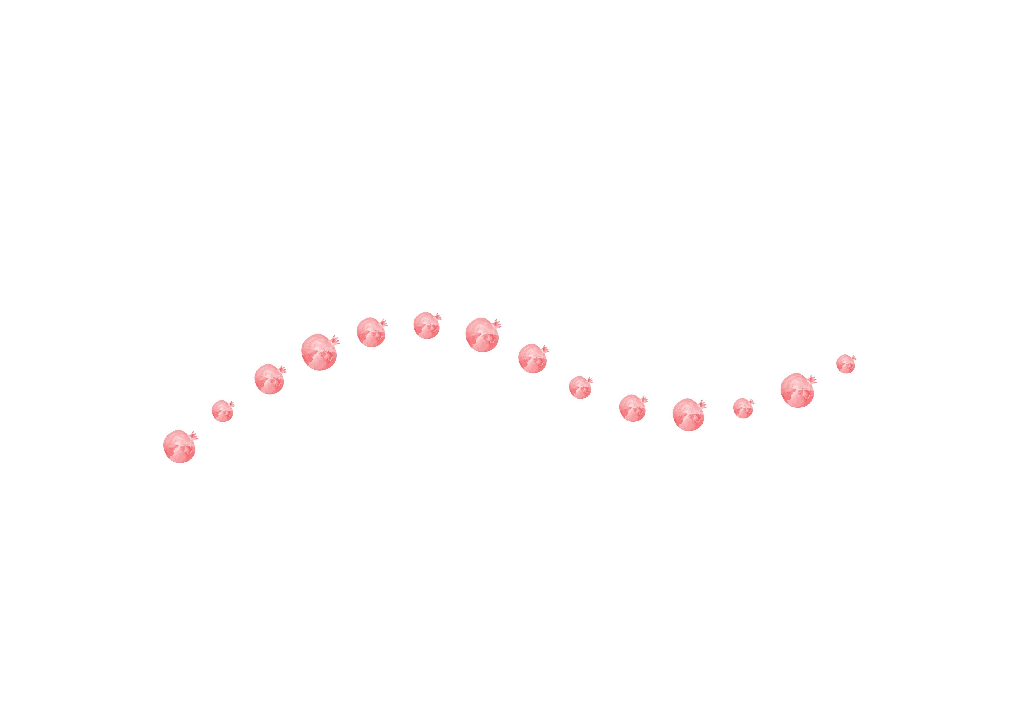 רימון והמברשת-02.jpg