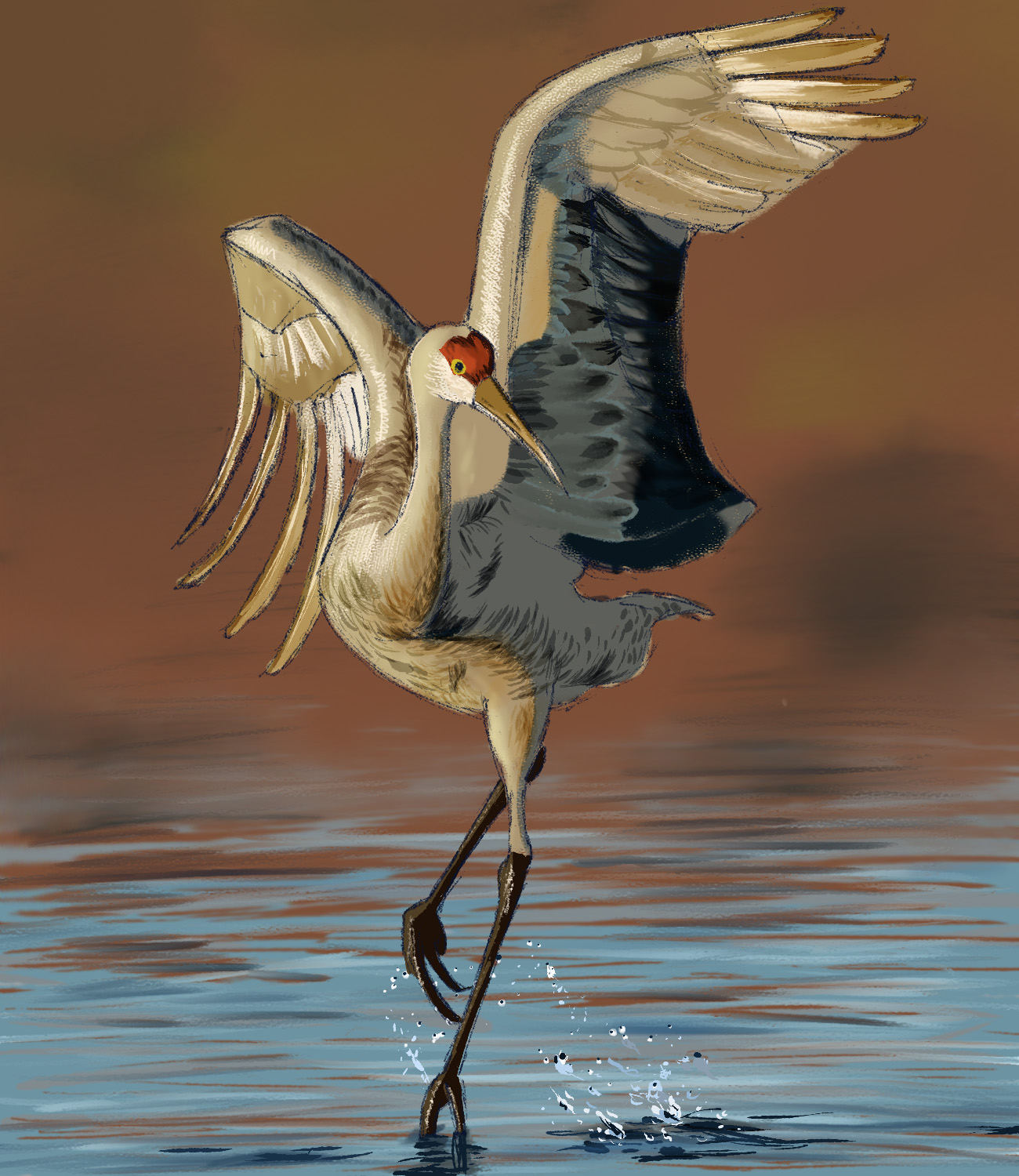 ריקוד העגורא.jpg