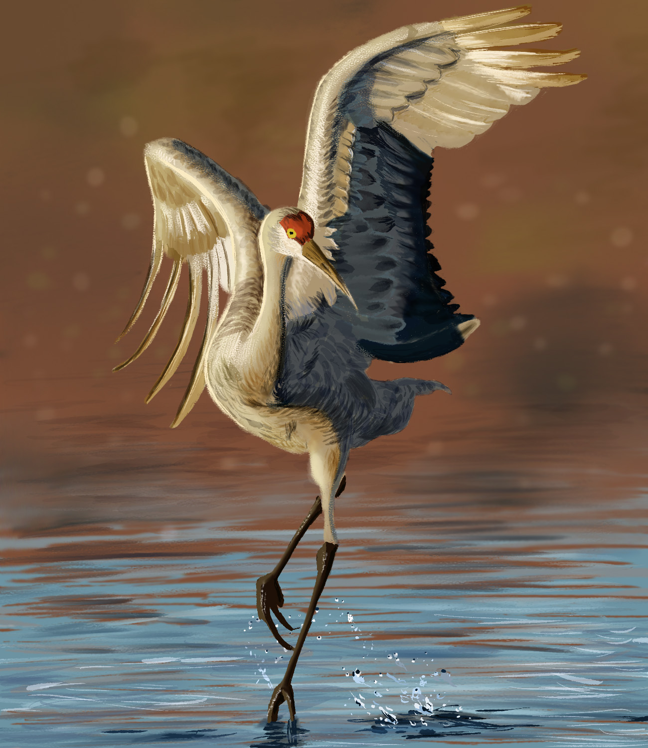 ריקוד העגוראt.jpg