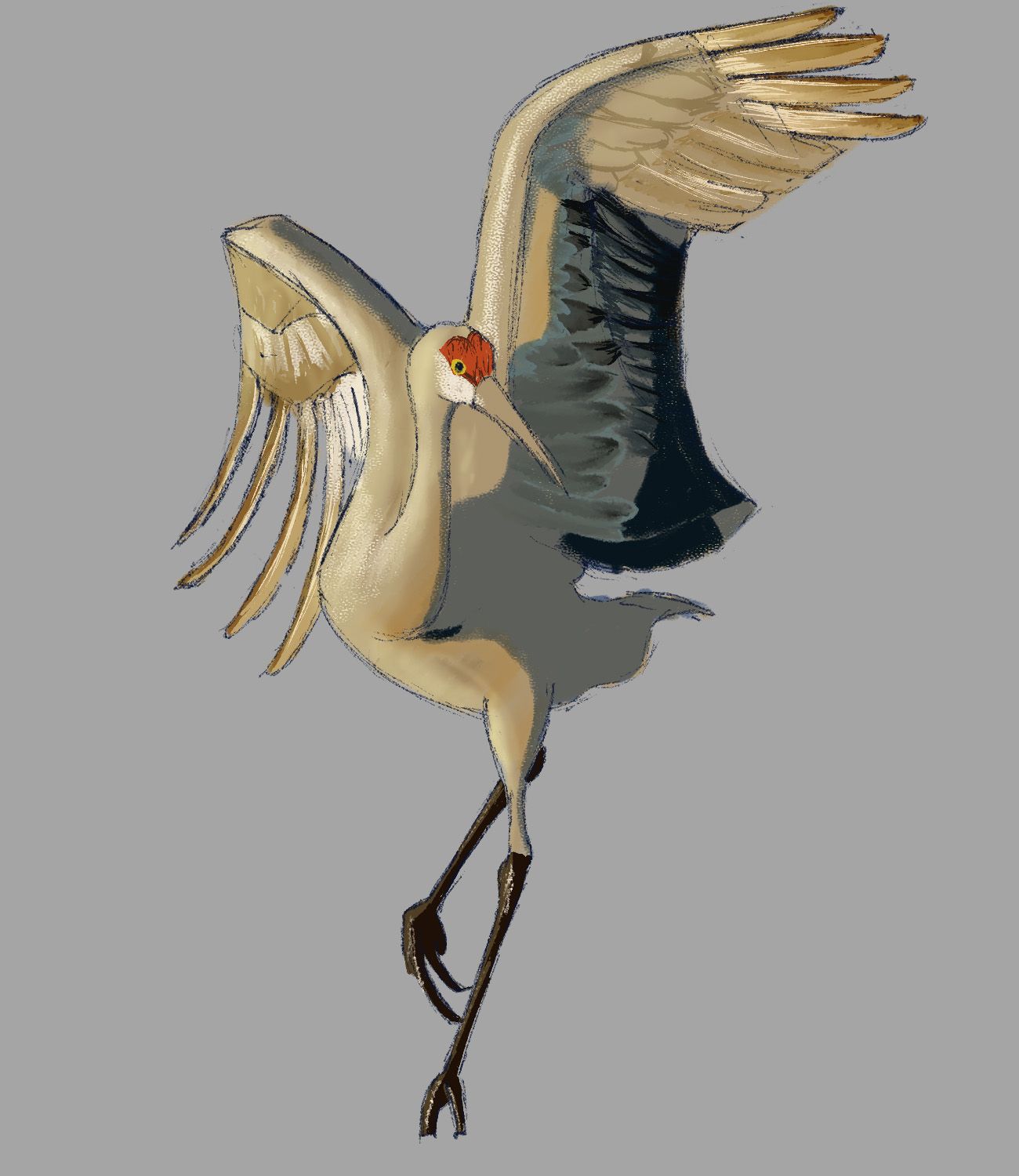 ריקוד העגור.jpg