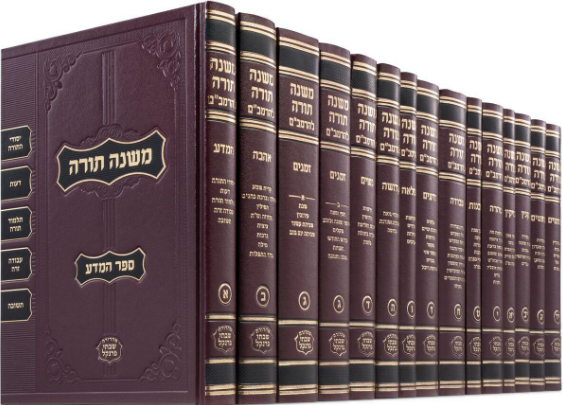 רמבם פרנקל קטן.PNG