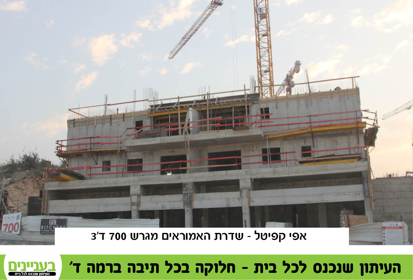 רמה ד 8.1253.jpg