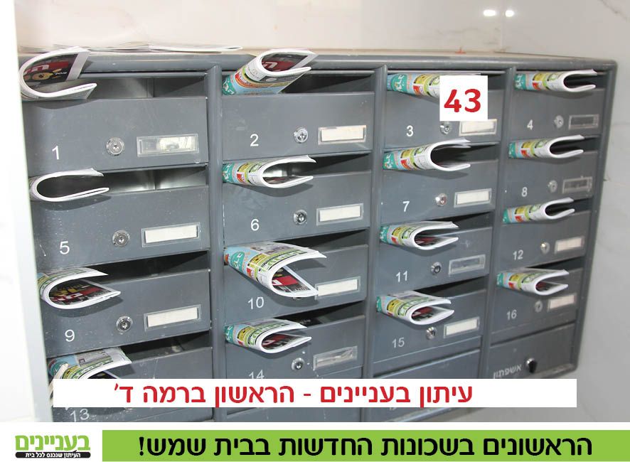 רמה ד8.jpg