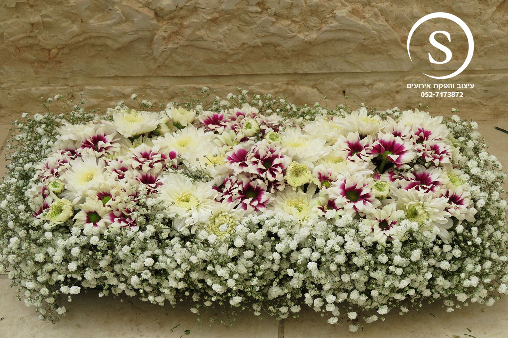 רנר - קונסוליה.jpg