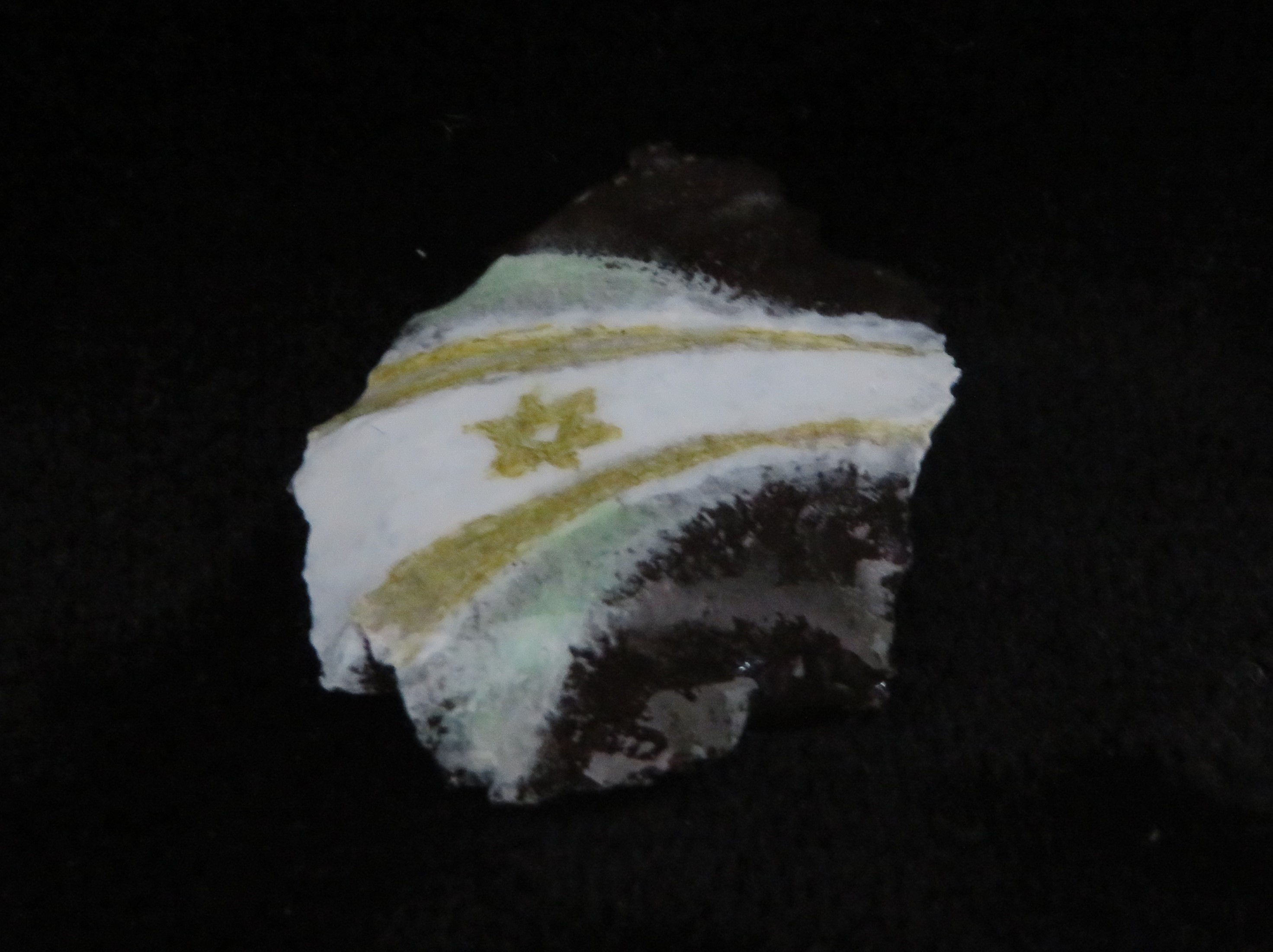 רסיס דגל זהוב-לבן.JPG