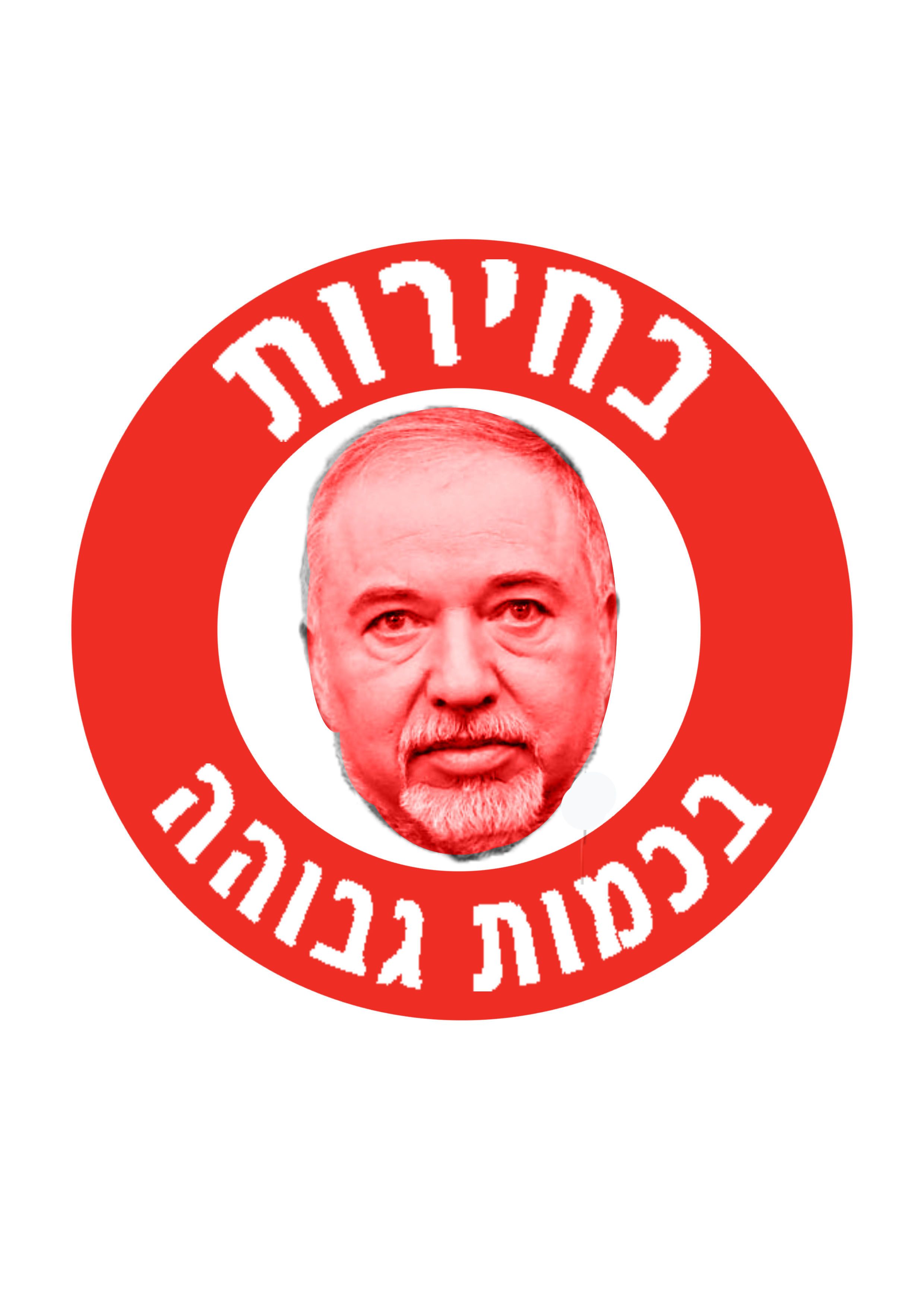 רפורמת בחירות.jpg