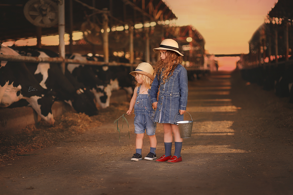 רפת ידיים ממ.jpg