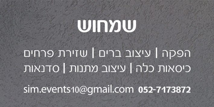 רקע אפור+פרטים.jpg